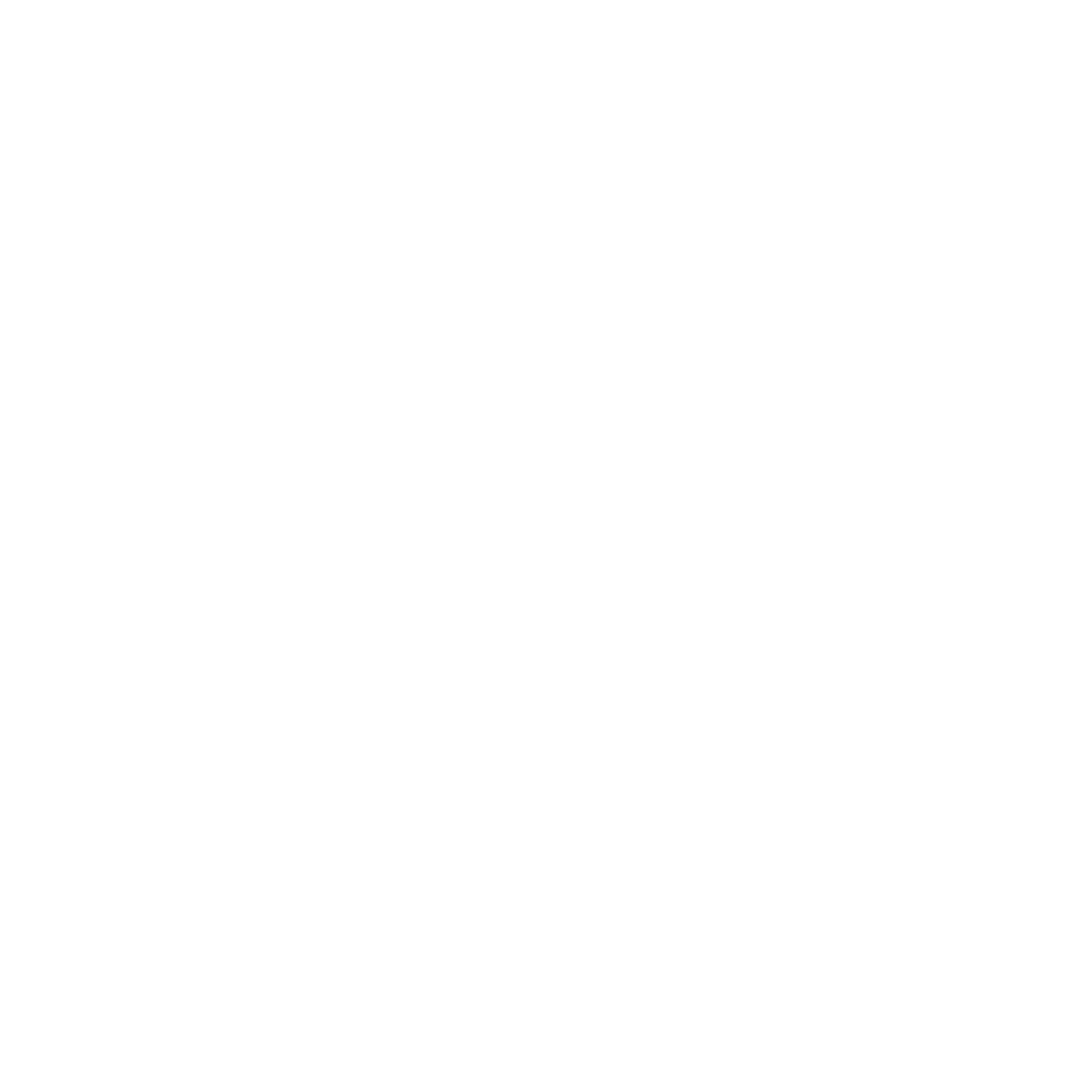 Changan Automotive